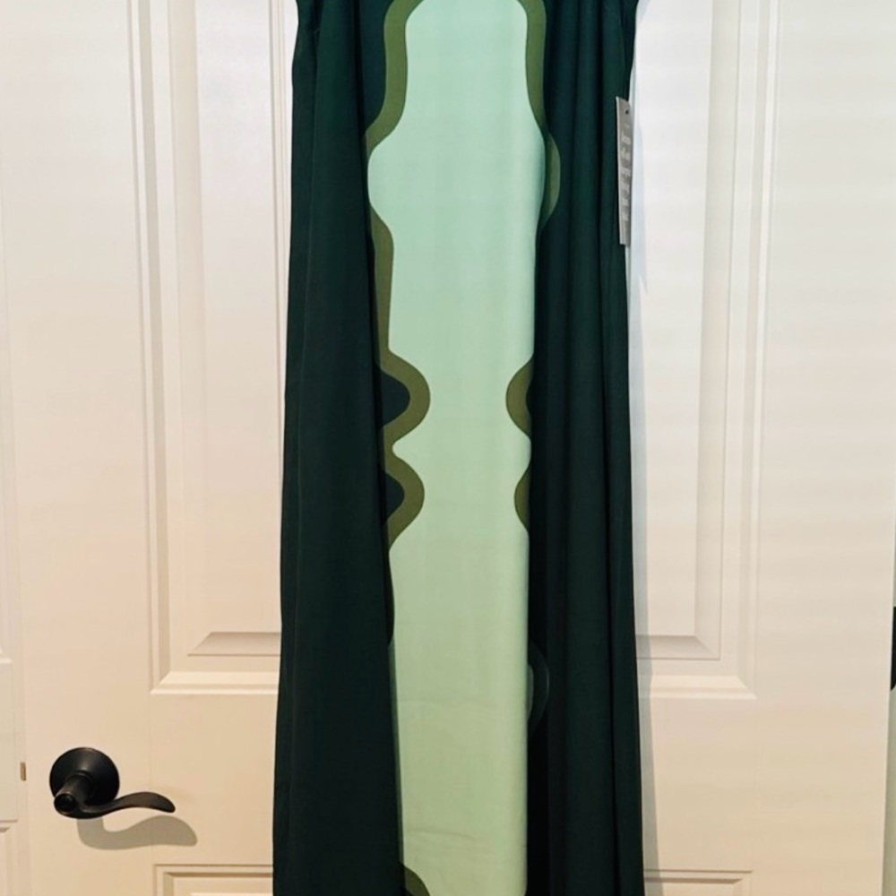 Tuckernuck Green Maxi Dress